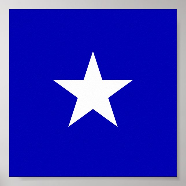 Póster Bonnie Blue Flag (Frente)