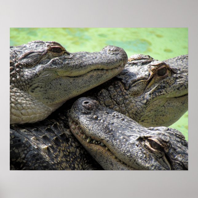 Poster Bons tempos (Frente)