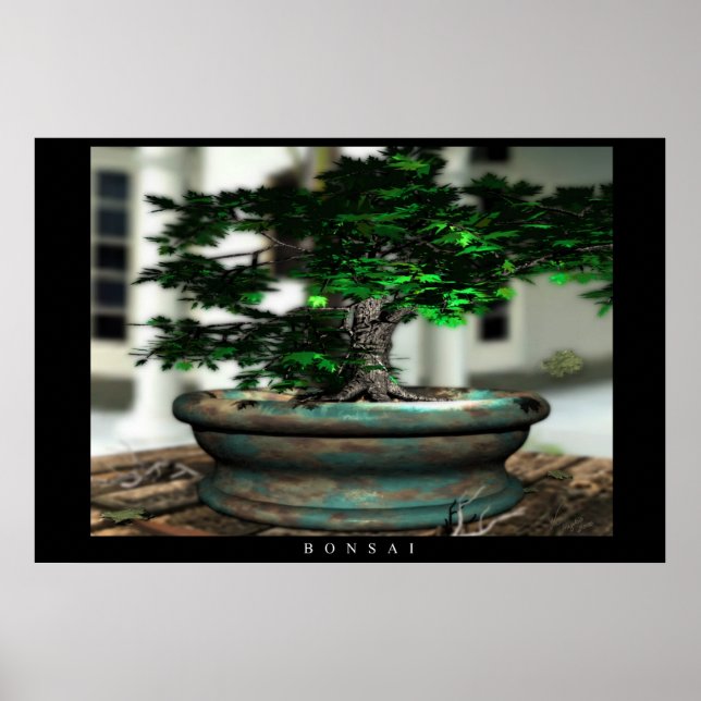 Poster Bonsai (Frente)