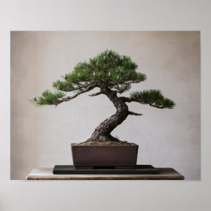 Poster Bonsai de Pinheiro Preto Japonês Arte de Parede