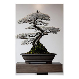 Póster Bonsai em Harmonia