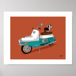 Poster Boogie em Cezeta