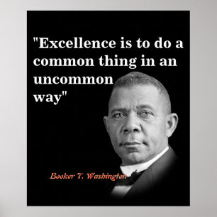 Poster Booker T. Washington Citação Sobre Excelência