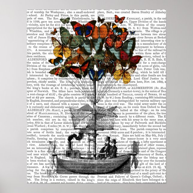 Póster Borboleta (Frente)