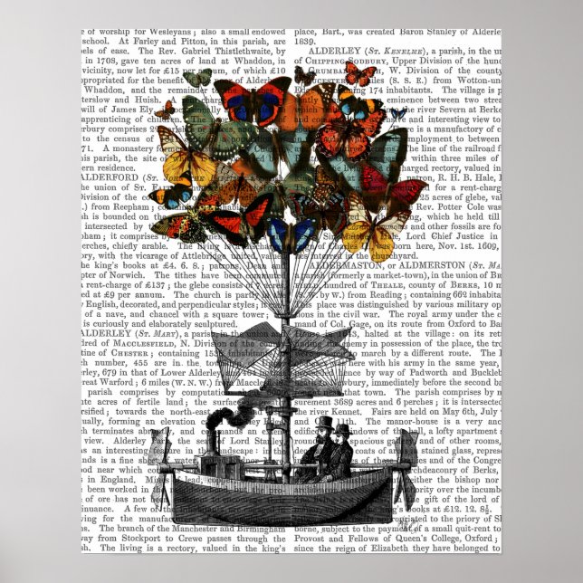 Póster Borboleta (Frente)