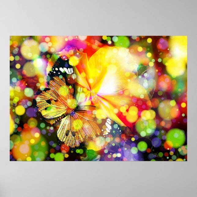 Poster Borboleta (Frente)