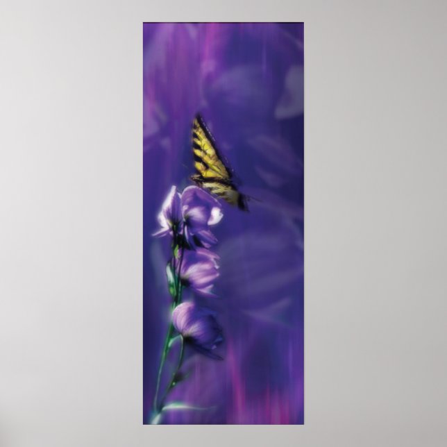 Poster borboleta (Frente)