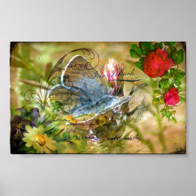 Póster Borboleta (Frente)