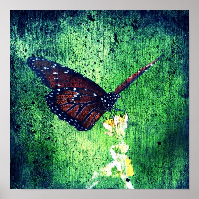 Póster Borboleta (Frente)