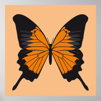 Póster borboleta1