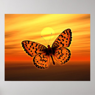 Poster Borboleta alaranjada