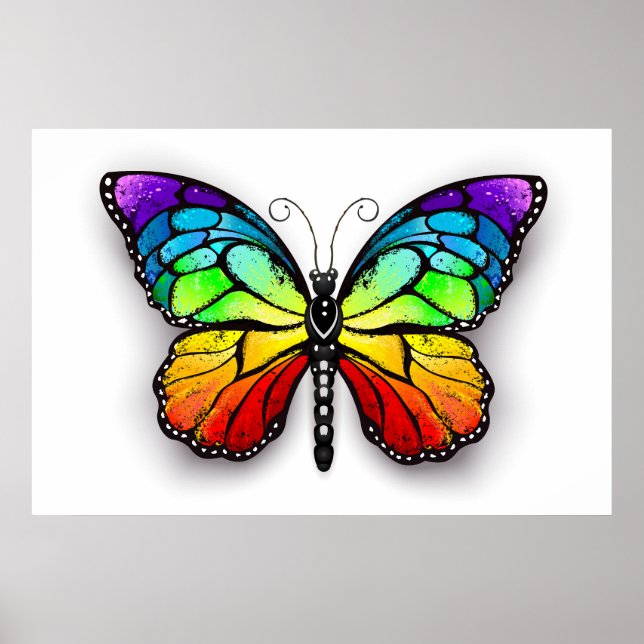 Poster Borboleta-arco-íris Monarca (Frente)