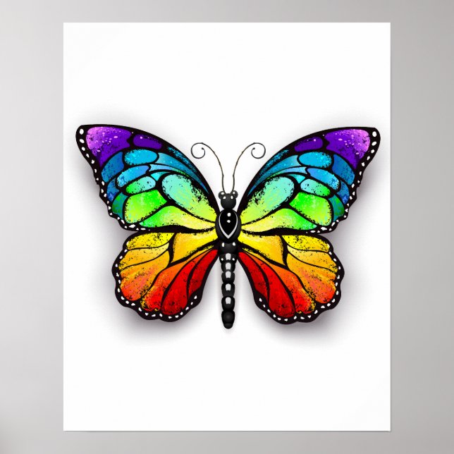 Poster Borboleta-arco-íris Monarca (Frente)