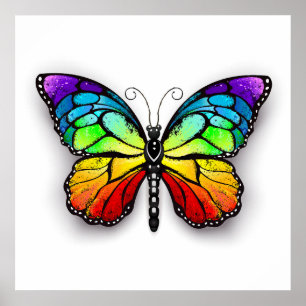 Poster Borboleta-arco-íris Monarca