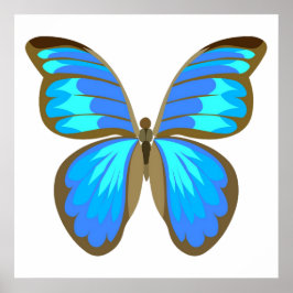 Poster Borboleta azul