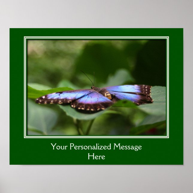 Póster Borboleta Azul Crie Sua Própria Cota (Frente)