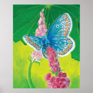Poster Borboleta azul-da-Chapmans (Terços de Polyommatus