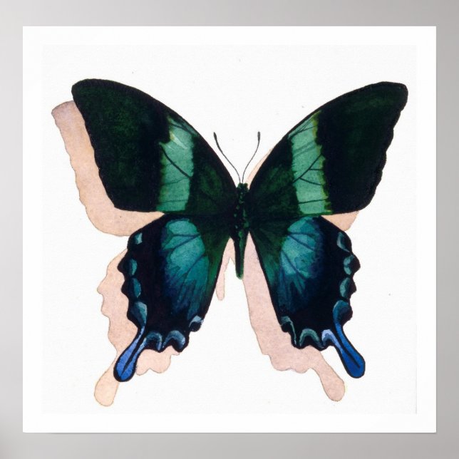 Poster "Borboleta Azul" Insect Watercolor Art (Frente)