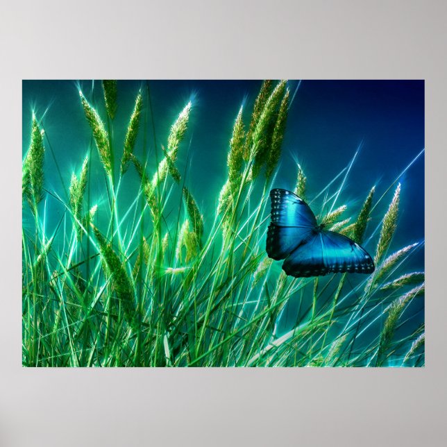 Póster Borboleta Azul Morpho na Grama Verde (Frente)