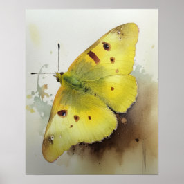 Poster Borboleta Clouded Sulphur Cartaz de Arte Impresso