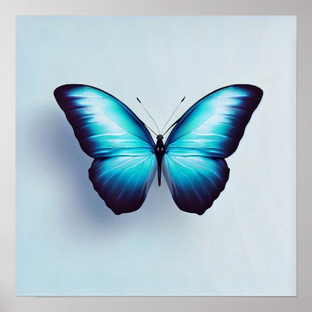 Poster Borboleta Contra Fundo Branco (Frente)