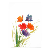 borboleta de cor da água