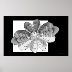 Poster Borboleta de Luna