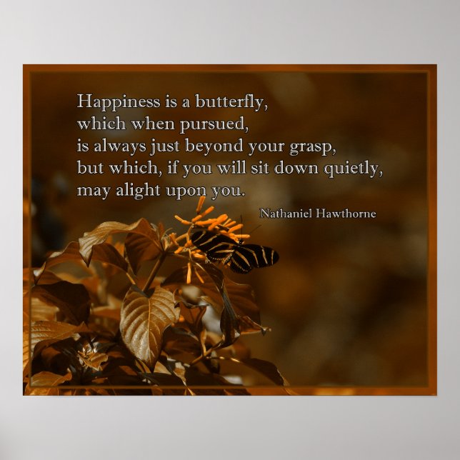 Poster Borboleta-de-vidro-zebra (Frente)