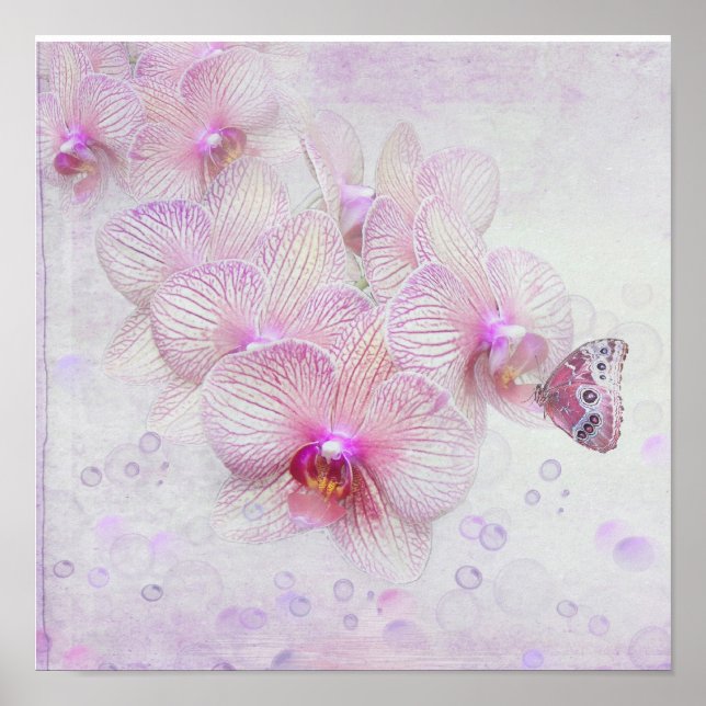 Póster Borboleta em Flores de Orquídea (Frente)