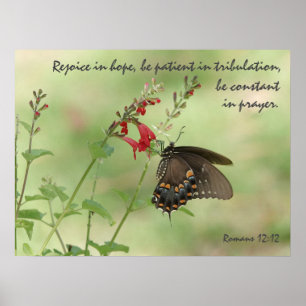 Poster Borboleta em flores selvagens, Verse Romans 12:12