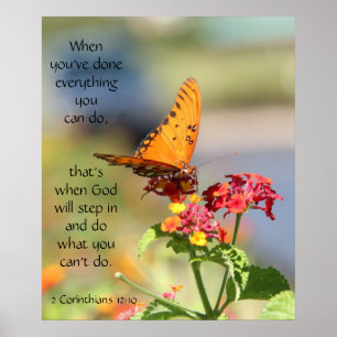 Póster Borboleta em Wildfllowers, verso da escritura