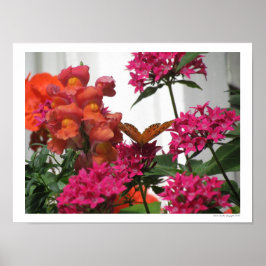 Poster Borboleta Entre Flores Rosa e Laranja