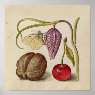 Póster Borboleta Flor e cereja Aquarela