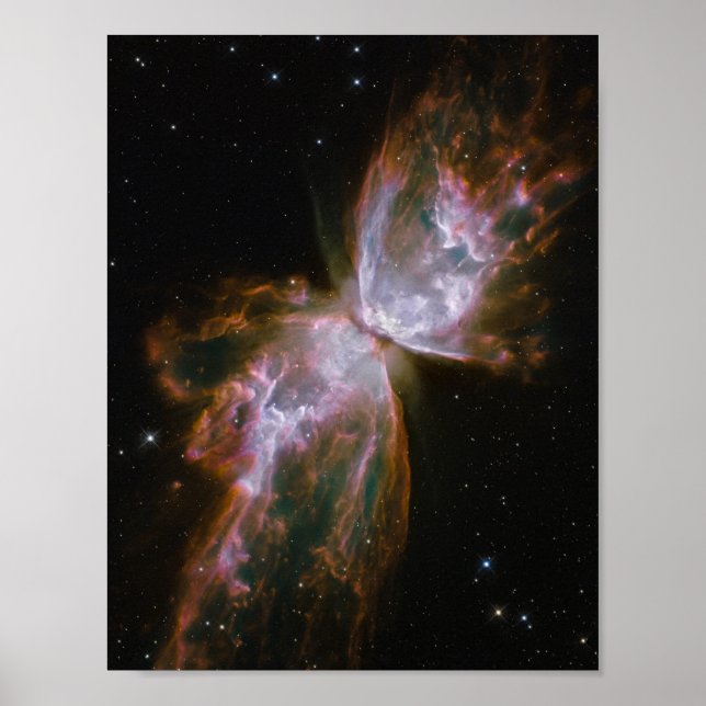 Poster Borboleta Forma Nebulosa Planetária (Frente)