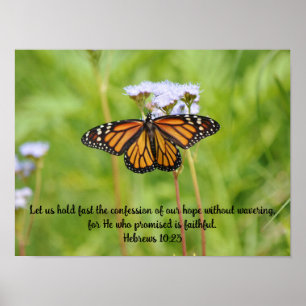 Poster Borboleta Grande Monarca em Flores Selvagens Poste