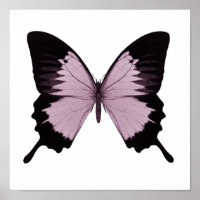 Borboleta Grande Rosa e Preta - Personalize