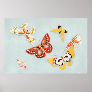 Poster Borboleta japonesa por Kamisaka Sekka (1904)