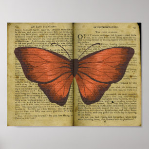 Poster Borboleta Laranja Desenho no Livro Antigo