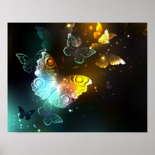 Poster Borboleta Luminosa e borboletas noturnas