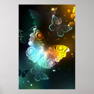 Poster Borboleta Luminosa e borboletas noturnas