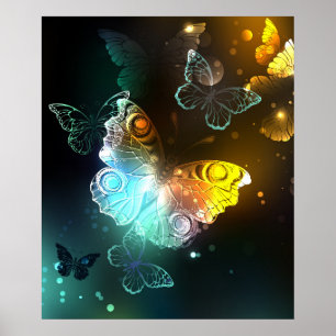 Poster Borboleta Luminosa e borboletas noturnas