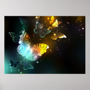 Poster Borboleta Luminosa e borboletas noturnas