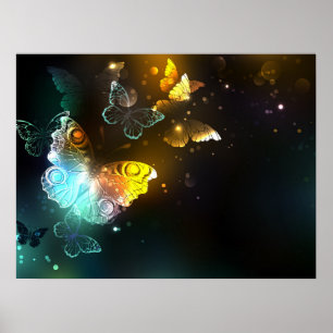 Poster Borboleta Luminosa e borboletas noturnas