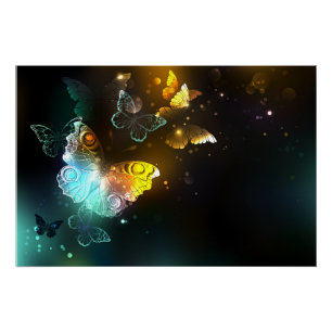 Póster Borboleta Luminosa e borboletas noturnas