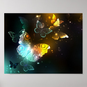 Poster Borboleta Luminosa e borboletas noturnas