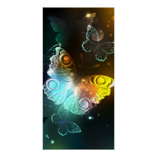 Póster Borboleta Luminosa e borboletas noturnas