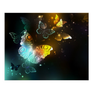 Póster Borboleta Luminosa e borboletas noturnas