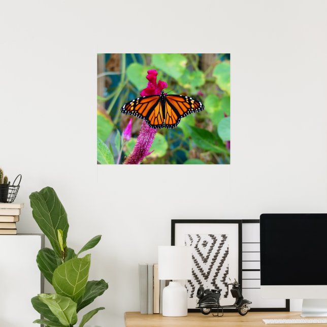 Poster Borboleta Monarca (Escritório em casa)
