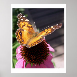 Poster Borboleta Monarca 2