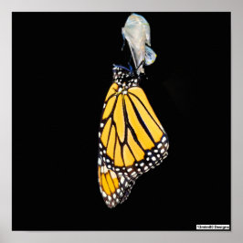Poster Borboleta Monarca 2022 - Cartaz